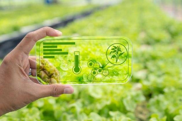 गहरी जड़ें आयरिश एग्रीटेक क्षेत्र को फलने-फूलने में मदद करती हैं