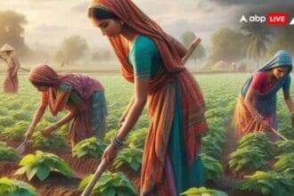 Great Chance to Start agri startup government giving interest free loan कृषि स्टार्टअप करने का बढ़िया मौका, युवाओं को सरकार देगी पांच से 10 लाख रुपये तक का बिना ब्याज का लोन