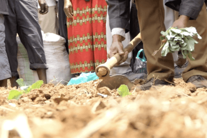 सीड्स ऑफ गोल्ड फार्म क्लिनिक में कबाले किसानों को कृषि में सुधार के बारे में जानकारी दी गई