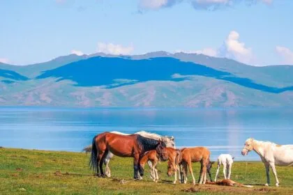 Taking care of business: How Kyrgyzstan became Moscow's middle man
