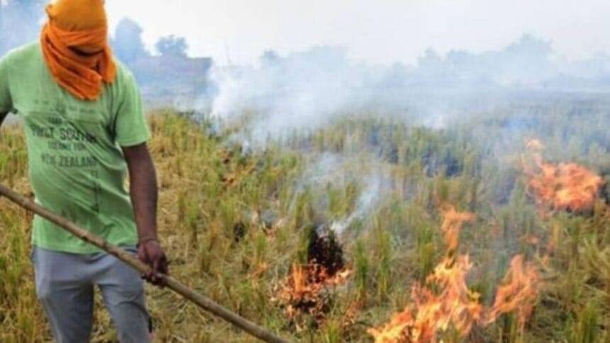 हरियाणा में पराली जला रहे हैं किसान. (सांकेतिक फोटो)