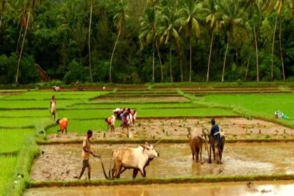 राजस्थान सीएम ने कहा कि संकल्प पत्र के करीब 50 फीसदी वादे पूरे करने की ओर बढ़ रहे हैं.