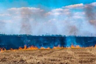 6 farmers arrested for burning stubble in Sonipat, two employees who were negligent also suspended