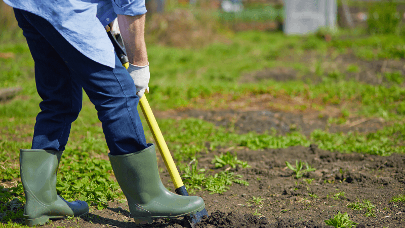 इस सप्ताह के अंत में ग्रैंड फॉल्स-विंडसर में कृषि एक्सपो - एनटीवी