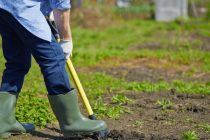 इस सप्ताह के अंत में ग्रैंड फॉल्स-विंडसर में कृषि एक्सपो - एनटीवी