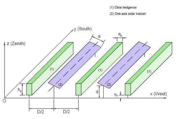हेजरो जैतून के बगीचों के लिए एग्रीवोल्टाइक्स - पीवी पत्रिका इंटरनेशनल