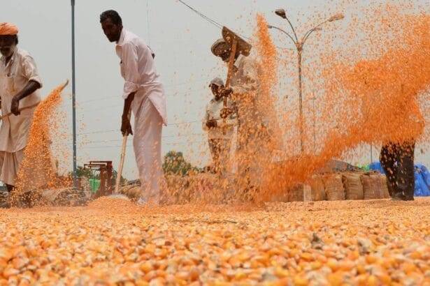 राइजिंग राजस्थान समिट में कृषि क्षेत्र की बहार