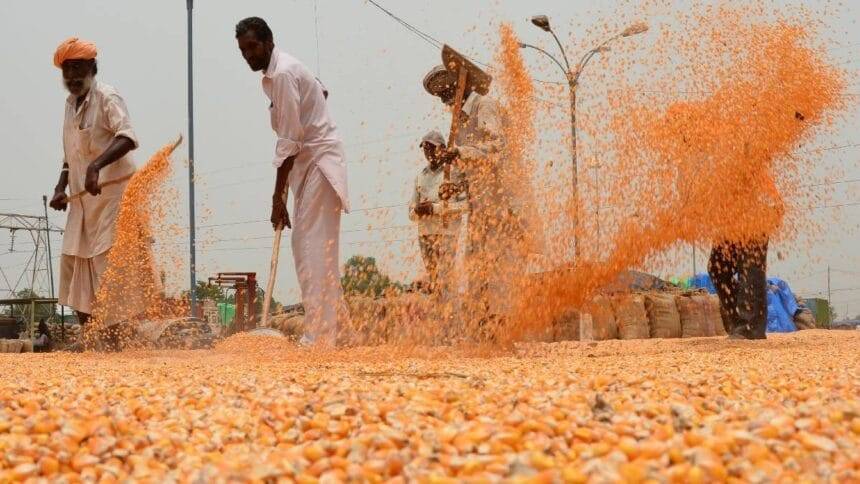 राइजिंग राजस्थान समिट में कृषि क्षेत्र की बहार