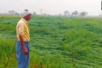 यूपी सरकार ने प्रदेश के बाढ़ से प्रभावित रहे 34 जिलों के किसानों को मुआवजा जारी किया है.