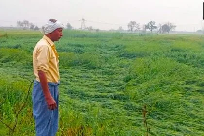 यूपी सरकार ने प्रदेश के बाढ़ से प्रभावित रहे 34 जिलों के किसानों को मुआवजा जारी किया है.
