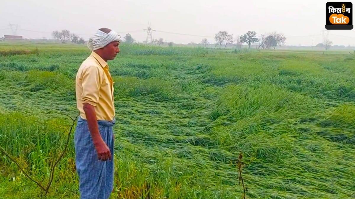 All Farmers In UP Will Get Compensation For Crops Destroyed By Floods ...