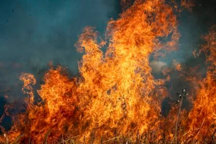 अरकंसास के कृषि विभाग ने जनता से जंगल की आग के उच्च जोखिम के दौरान सतर्क रहने का आग्रह किया | तस्वीरें और वीडियो