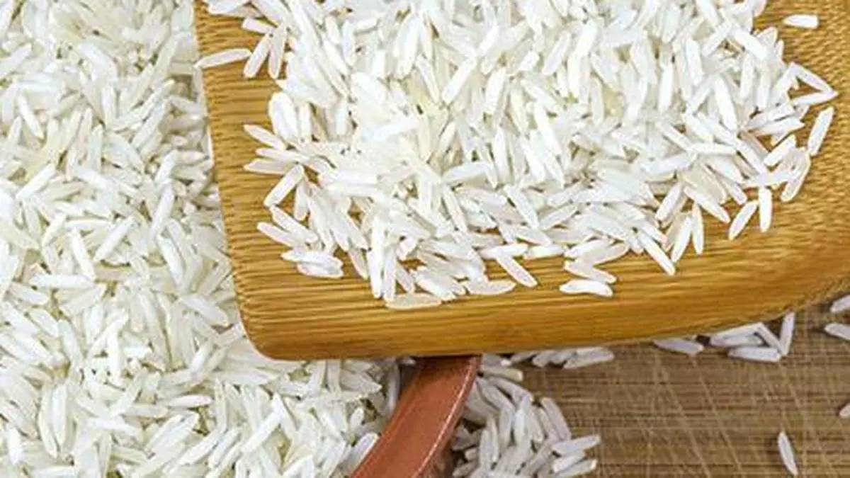 मध्य पूर्व तनाव के बीच एमईपी उन्मूलन के बाद बासमती चावल की कीमतों में उतार-चढ़ाव आया