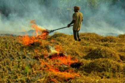 पराली से पर्यावरण को भारी नुकसान