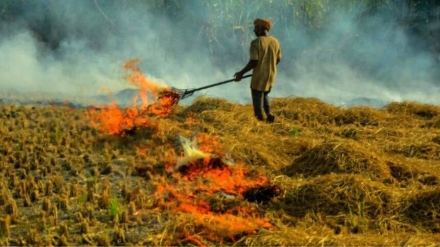 पराली से पर्यावरण को भारी नुकसान