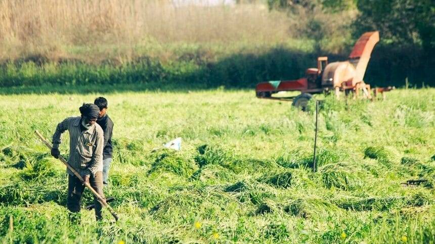 कैबिनेट ने पीएम-आरकेवीवाई और कृष्णोन्नति योजना के तहत कृषि योजनाओं के पुनर्गठन के लिए 1 लाख करोड़ रुपये की योजना को मंजूरी दी