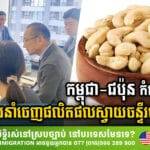 Cambodia-Japan jointly strengthen Cambodia’s export potential of cashew products