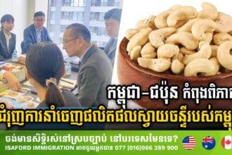 Cambodia-Japan jointly strengthen Cambodia’s export potential of cashew products