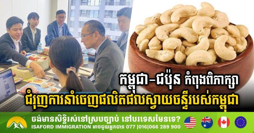 Cambodia-Japan jointly strengthen Cambodia’s export potential of cashew products