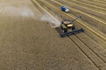 Farmers harvesting wheat near Cremona, Alta on Tuesday, September 19, 2023