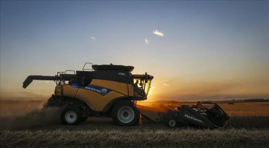 Canada's Agricultural Policies Are Falling Short Of Health And Sustainability Goals