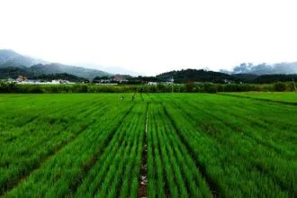 चीन ताइवान के कृषि आयात पर कर लगाएगा