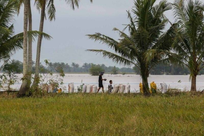 'क्रिस्टीन' ने कृषि को P3.40 बिलियन का नुकसान पहुँचाया, 79,904 किसानों को प्रभावित किया