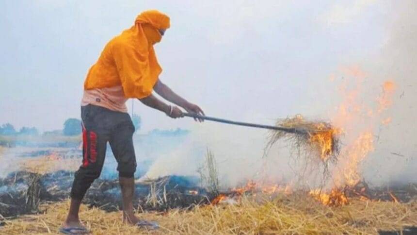 पराली प्रबंधन ( सांकेतिक तस्वीर)