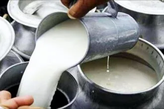 डेयरी उद्योग (सांकेतिक तस्वीर)