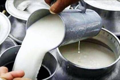 डेयरी उद्योग (सांकेतिक तस्वीर)