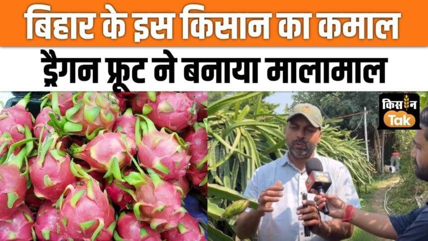 Dragon fruit farming made the farmer rich, also earned a big name, watch video