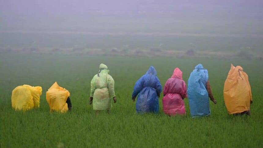 टिकाऊ खेती और इसकी आर्थिक अनिवार्यता