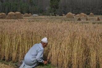 ड्रोन छिड़काव में भविष्य की वृद्धि के लिए विश्वास पैदा करने के लिए ऑफ-सीज़न के दौरान किसानों के साथ जुड़ना