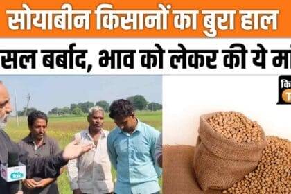 Farmers got angry over the price of soybean, made this demand