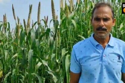 वाराणसी के प्रगतिशील किसान उदयभान सिंह ने 2 एकड़ खेत में बेहद कम लागत में बाजरा की खेती की है.