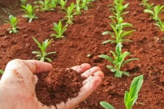 मृदा स्वास्थ्य कार्ड (सांकेतिक तस्वीर)