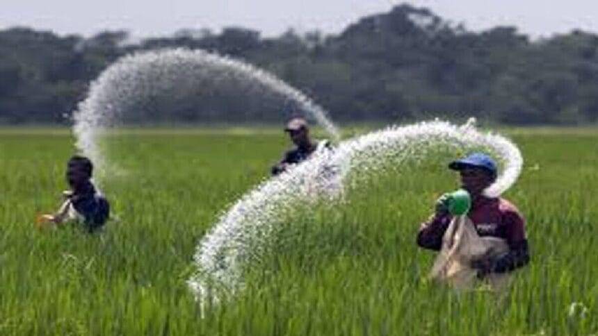डीएपी की कमी से पंजाब के किसान परेशान. (सांकेतिक तस्‍वीर)