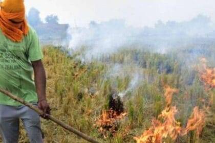 पंजाब में पराली जलाने की घटनाओं में होगी बढ़ोतरी. (सांकेतिक फोटो)