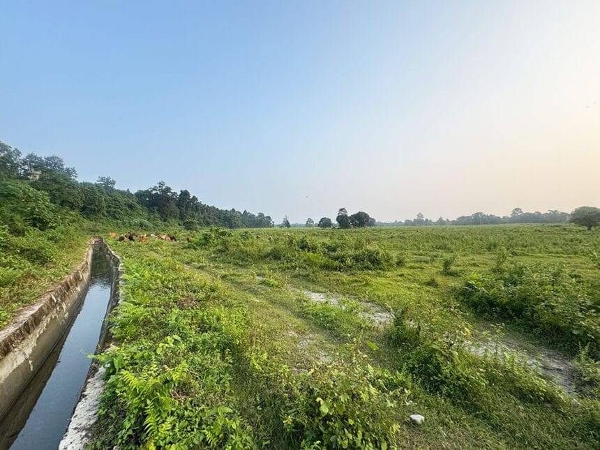 विदेशी श्रमिकों के आयात से परती भूमि को पुनर्जीवित करने में मदद मिलेगी: किसान