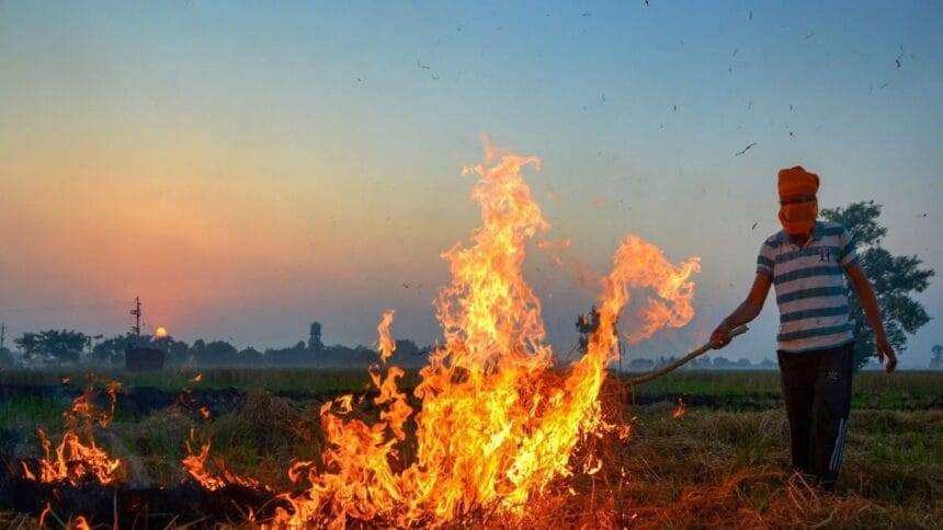 दिल्ली के पड़ोसी क्षेत्रों में खेतों में आग की घटनाएं बढ़ीं; AQI 'मध्यम' श्रेणी में