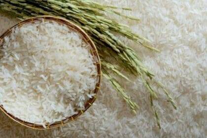 एमईपी को हटाने से निर्यात में बढ़ोत्तरी देखने को मिलेगी.