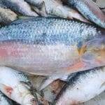 Bangladesh produces nearly 70 percent of the world’s hilsa and it is also the country’s national fish.