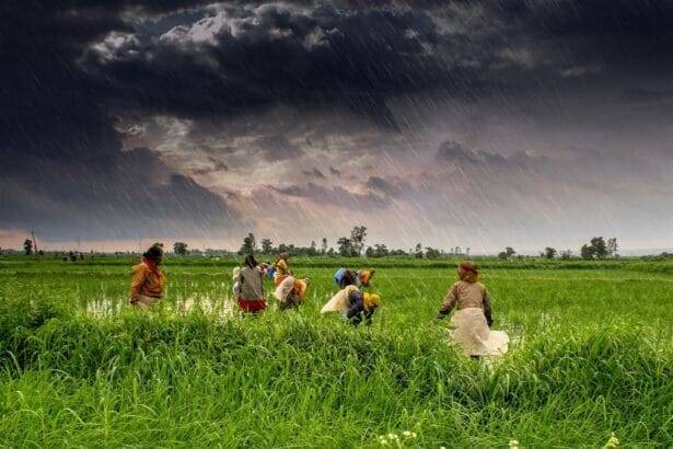 कृषि-खाद्य क्षेत्रों में एंटीबायोटिक के उपयोग को चरणबद्ध तरीके से समाप्त करने का वैश्विक दबाव एएमआर के खिलाफ भारत की लड़ाई को कैसे बढ़ावा देगा