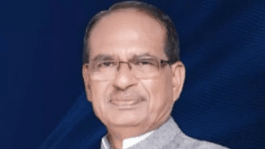 बागवानी मूल्य अंतर कम करने के लिए योजना बनाएगी सरकार: चौहान