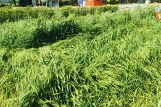 राहत पैकेज की घोषणा