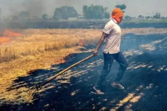 पराली जलाने पर किसानों के खिलाफ कार्रवाई शुरू
