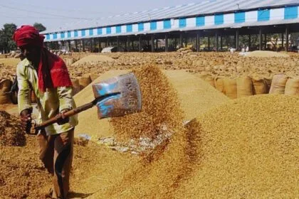 धान और बाजरे की खरीद