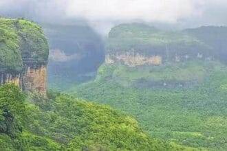 भारत की जैव विविधता योजना के संरक्षित क्षेत्र, कृषि जैव विविधता फोकस क्षेत्र | नवीनतम समाचार भारत