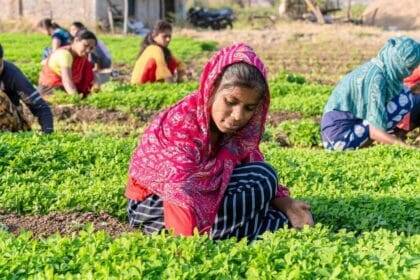 स्थिरता लाने वाली महिला किसानों की प्रेरक कहानियाँ