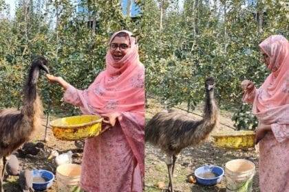 Lawyer turned farmer Shazia now earns Rs 30 lakh every year